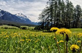 Familienwanderung am Sonnenplateau