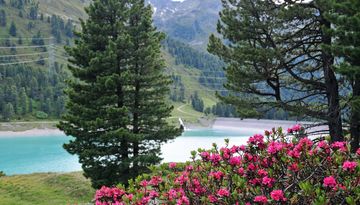 Kaiser-Franz-Josef-Weg