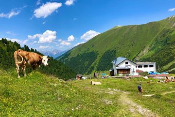 Adolf Pichler Hut