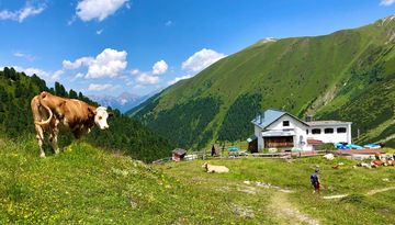 Refugio Adolf-Pichler-Hütte 