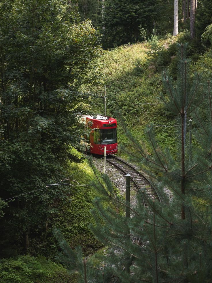 Waldbahn Linie 6