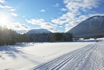 Piste de ski de fond Mieming - Obermieming/Affenhausen n° 1