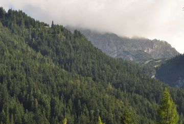 Sentiero ornitologico Vogellehrweg – Ehnbachklamm