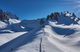Freeride-Tour mit Öffis
