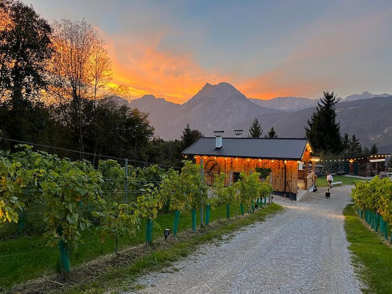 Bodega Romasi