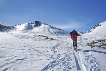 Schaflegerkogel vom Fotschertal Schaflegerkogel vom Fotschertal
