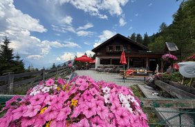 Een dag op de Kreither Alm in Mutters