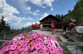 Ein Tag auf der Kreither Alm in Mutters