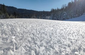 Sneeuw: schoonheid en gevaren