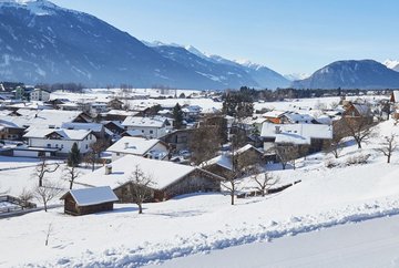 Wildermieming