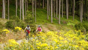 Arztaler Alm (5021)