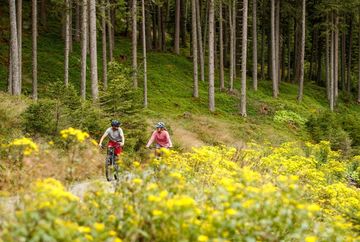 Arztaler Alm (5021)
