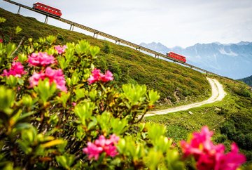 Panoramaweg Pleisen trail