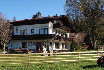 Vogelhütte Snack station