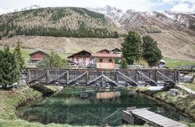 Angehakt & aufgegabelt: Frischer Fisch aus Innsbruck