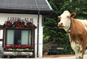 Bergrestaurant Lizum Alm