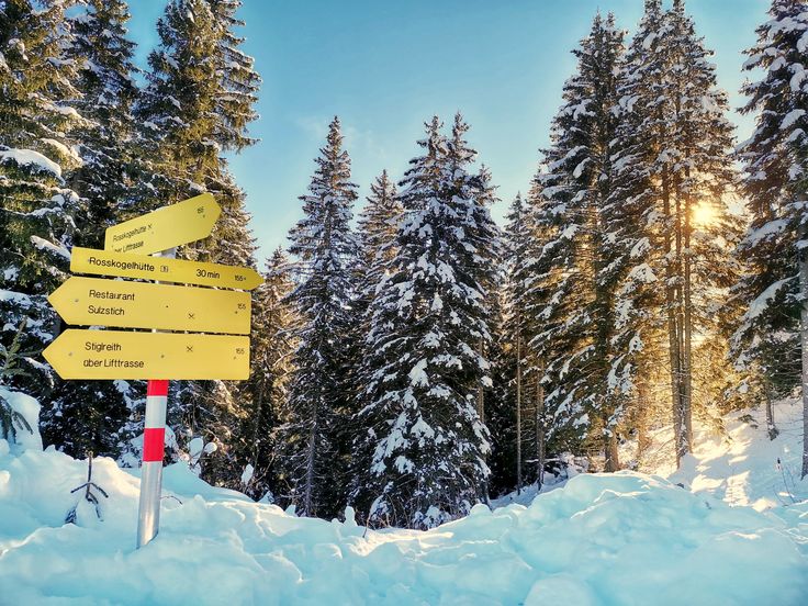 City trip and fun on the slopes – the perfect combination with the Welcome Card Plus