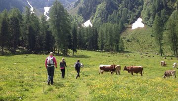 Gipfeltour: Narrenkopf