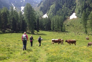 Excursion au sommet : Narrenkopf