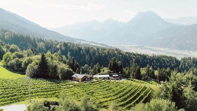 Weingut Romasi