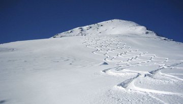 Hühnereggen
