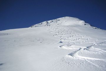 Hühnereggen Hühnereggen