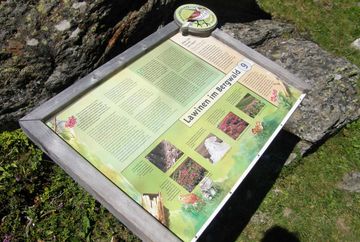 Sentiero didattico naturale e sentiero del ghiacciaio Sentiero didattico naturale e sentiero del ghiacciaio