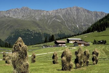 Gleirschalm