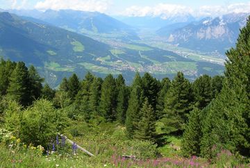 Alpengarten Patscherkofel