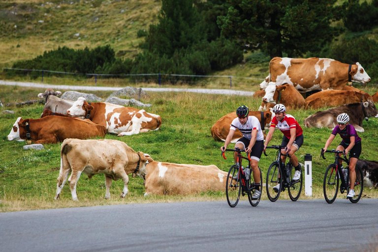 Rennrad Tour