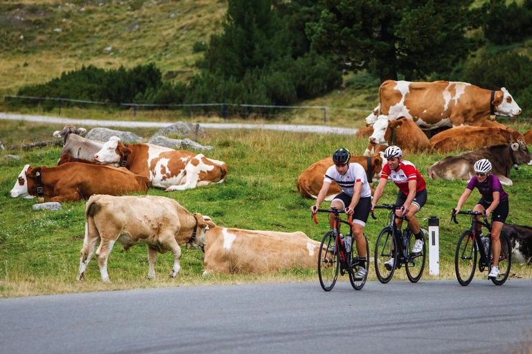 Rennrad Tour
