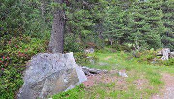 Kaiser-Franz-Josef-Weg