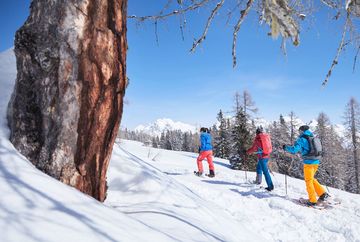 Escursione con le racchette da neve - Boasligbrücke