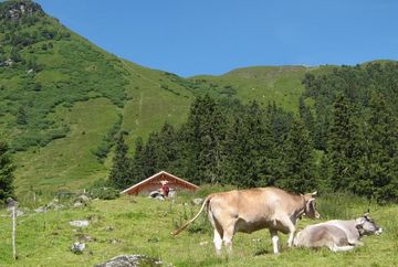 Almindalm