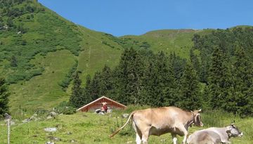 Restaurante alpino Almindalm