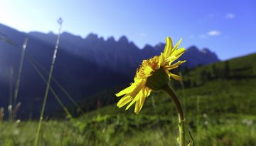 Bienenoase - sentier pédagogique sur les abeilles