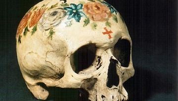 Anatomisches Museum Innsbruck