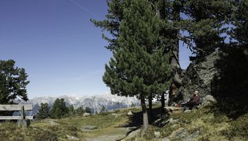 Adlerweg-Etappe 13: Innsbruck – Zirbenweg – Innsbruck Adlerweg-Etappe 13: Innsbruck – Zirbenweg – Innsbruck