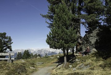 Camino del águila - etapa 13: Innsbruck - camino de los cembros - Innsbruck