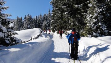 Rodelbahn Bergbahnen Oberperfuss