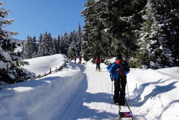 Tobogganing at Bergbahnen Oberperfuss