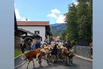 Almabtrieb Mutters
