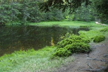 Natural monoment "Hirschlacke" en Mutters