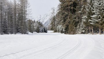 Loipe Mieming - Mieming/Gschwent Nr. 2