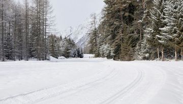 Loipe Mieming - Mieming/Gschwent Nr. 2