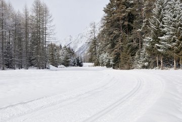 Piste de ski de fond Mieming - Mieming/Gschwent n° 2