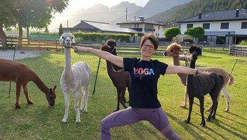 Yoga with the alpacas at the Oettlhof