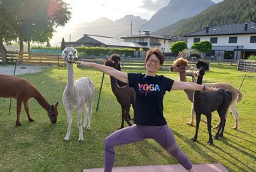 Yoga with the alpacas at the Oettlhof