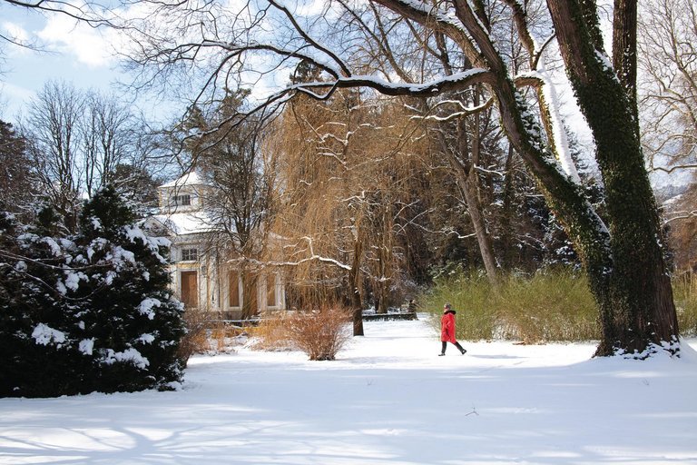 Hofgartenpavillon