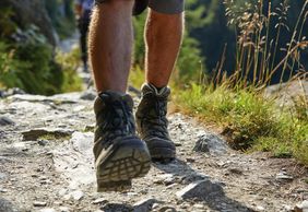 Wandern am Zirbenweg